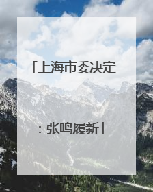 上海市委决定：张鸣履新