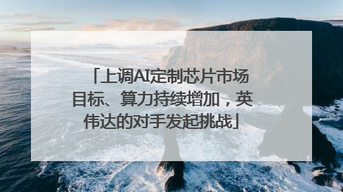 上调AI定制芯片市场目标、算力持续增加，英伟达的对手发起挑战