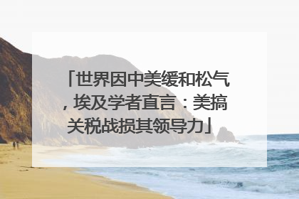 世界因中美缓和松气，埃及学者直言：美搞关税战损其领导力