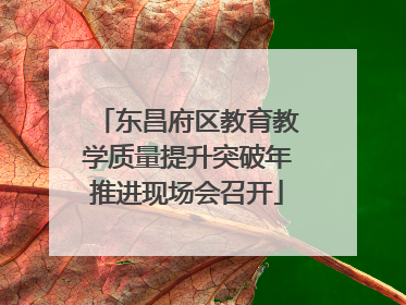 东昌府区教育教学质量提升突破年推进现场会召开