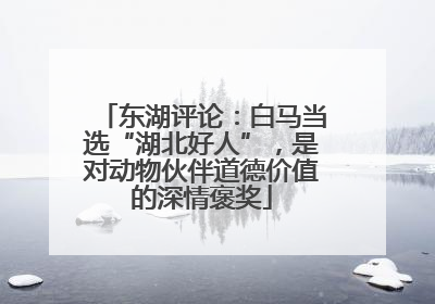 东湖评论：白马当选“湖北好人”，是对动物伙伴道德价值的深情褒奖