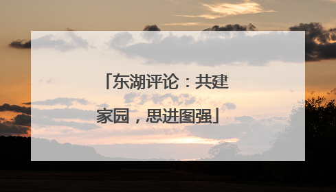 东湖评论：共建家园，思进图强