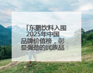 东鹏饮料入围2025年中国品牌价值榜，彰显强劲的民族品牌生命力