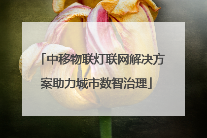 中移物联灯联网解决方案助力城市数智治理