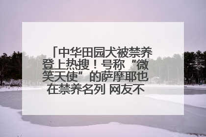 中华田园犬被禁养登上热搜！号称“微笑天使”的萨摩耶也在禁养名列 网友不解西安多部门回应