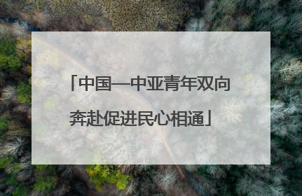 中国—中亚青年双向奔赴促进民心相通