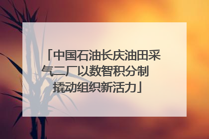 中国石油长庆油田采气二厂以数智积分制 撬动组织新活力