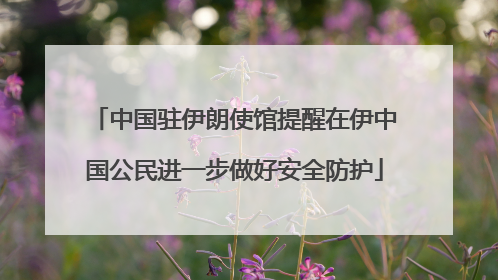 中国驻伊朗使馆提醒在伊中国公民进一步做好安全防护