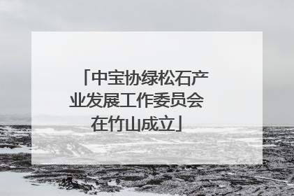中宝协绿松石产业发展工作委员会在竹山成立