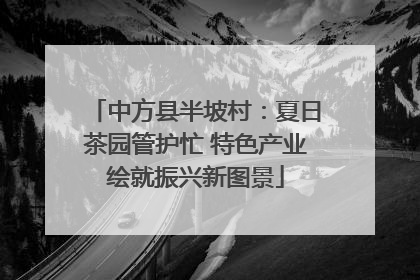 中方县半坡村：夏日茶园管护忙 特色产业绘就振兴新图景
