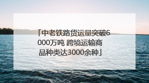 中老铁路货运量突破6000万吨 跨境运输商品种类达3000余种