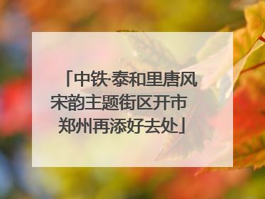 中铁·泰和里唐风宋韵主题街区开市 郑州再添好去处