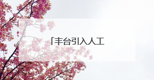 丰台引入人工智能赋能心育