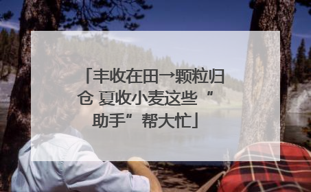 丰收在田→颗粒归仓 夏收小麦这些“助手”帮大忙