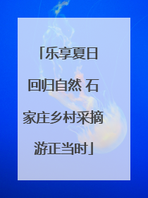 乐享夏日 回归自然 石家庄乡村采摘游正当时
