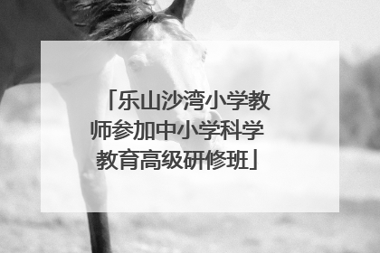乐山沙湾小学教师参加中小学科学教育高级研修班