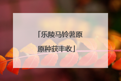 乐陵马铃薯原原种获丰收