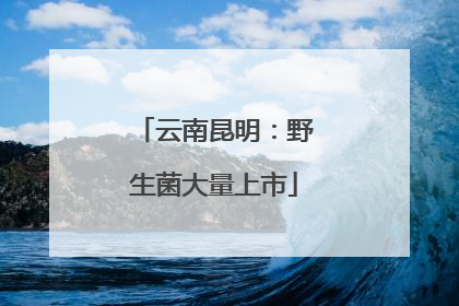 云南昆明：野生菌大量上市