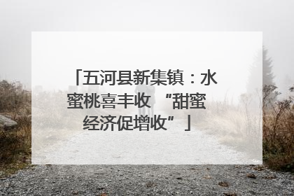 五河县新集镇：水蜜桃喜丰收 “甜蜜经济促增收”