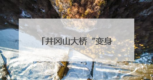 井冈山大桥“变身”进行时：拆旧建新同步推进 多举措保障汛期施工（图）
