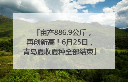 亩产886.9公斤，再创新高！6月25日，青岛夏收夏种全部结束