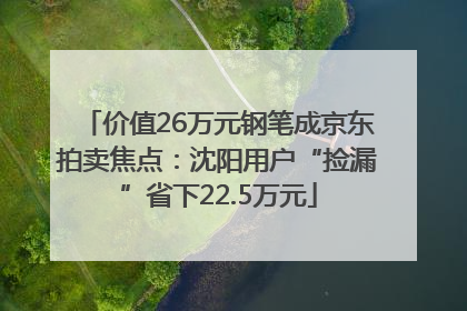 价值26万元钢笔成京东拍卖焦点：沈阳用户“捡漏”省下22.5万元