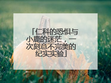 仁科的恐惧与小鹿的迷茫，一次刻意不完美的纪实实验