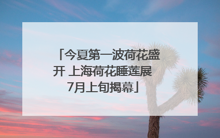 今夏第一波荷花盛开 上海荷花睡莲展7月上旬揭幕