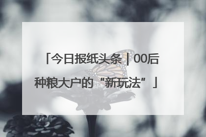 今日报纸头条｜00后种粮大户的“新玩法”