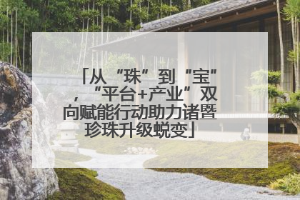 从“珠”到“宝”，“平台+产业”双向赋能行动助力诸暨珍珠升级蜕变