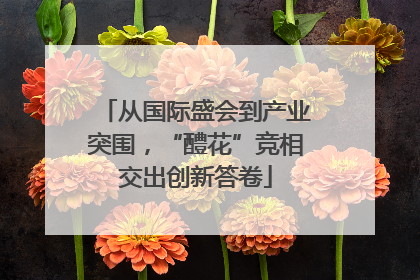 从国际盛会到产业突围，“醴花”竞相交出创新答卷