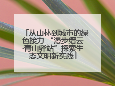 从山林到城市的绿色接力 “漫步缙云·青山驿站”探索生态文明新实践