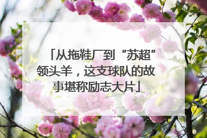 从拖鞋厂到“苏超”领头羊，这支球队的故事堪称励志大片