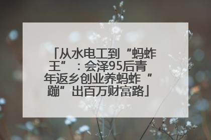 从水电工到“蚂蚱王”：会泽95后青年返乡创业养蚂蚱“蹦”出百万财富路