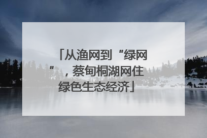 从渔网到“绿网”，蔡甸桐湖网住绿色生态经济