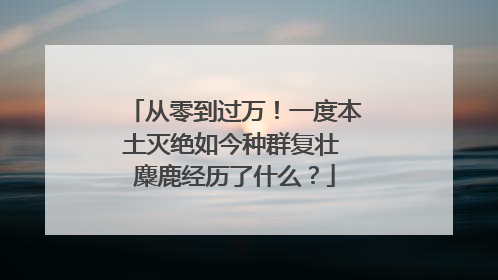 从零到过万！一度本土灭绝如今种群复壮 麋鹿经历了什么？