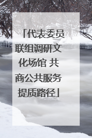 代表委员联组调研文化场馆 共商公共服务提质路径