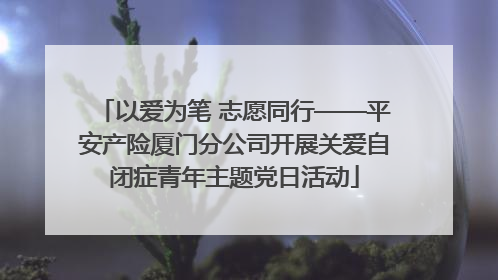 以爱为笔 志愿同行——平安产险厦门分公司开展关爱自闭症青年主题党日活动