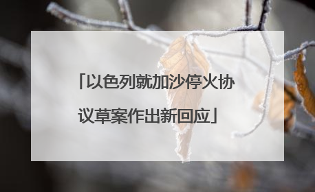 以色列就加沙停火协议草案作出新回应