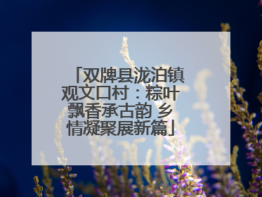 双牌县泷泊镇观文口村：粽叶飘香承古韵 乡情凝聚展新篇