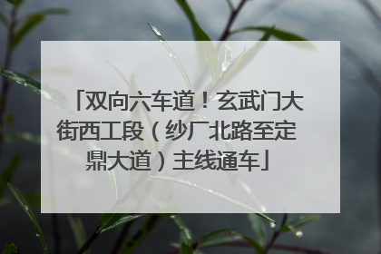 双向六车道！玄武门大街西工段（纱厂北路至定鼎大道）主线通车