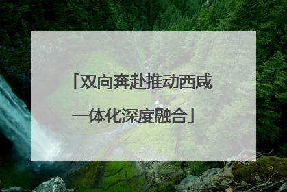 双向奔赴推动西咸一体化深度融合