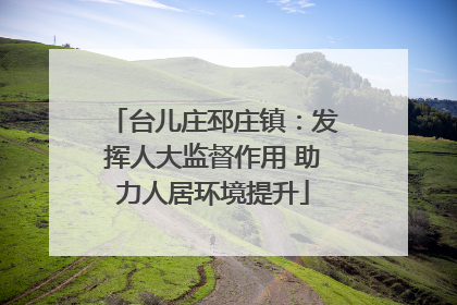台儿庄邳庄镇：发挥人大监督作用 助力人居环境提升