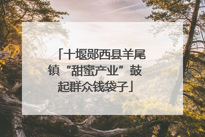 十堰郧西县羊尾镇“甜蜜产业”鼓起群众钱袋子