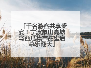 千名游客共享盛宴！宁波象山高塘岛西瓜集市甜蜜启幕乐翻天