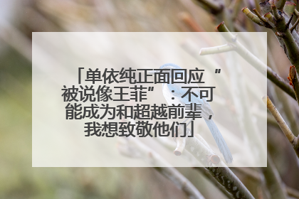 单依纯正面回应“被说像王菲”：不可能成为和超越前辈，我想致敬他们