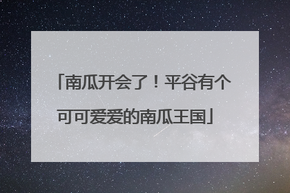 南瓜开会了！平谷有个可可爱爱的南瓜王国
