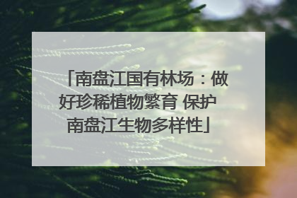 南盘江国有林场：做好珍稀植物繁育 保护南盘江生物多样性
