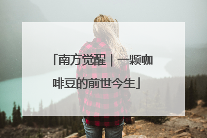 南方觉醒｜一颗咖啡豆的前世今生
