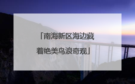 南海新区海边藏着绝美鸟浪奇观